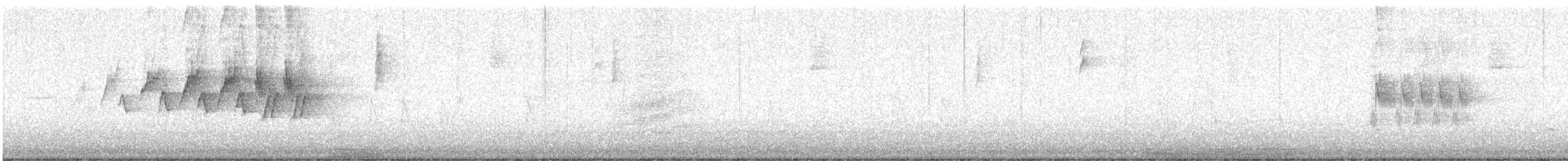 MacGillivray's Warbler - ML637995557