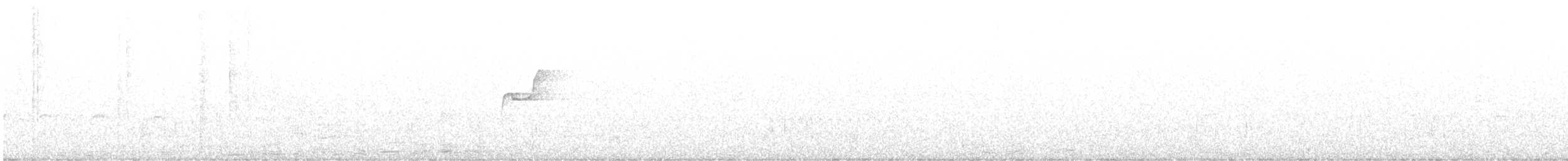 Western Flycatcher (Pacific-slope) - ML637996039