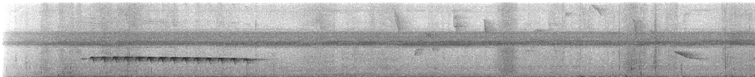 Western Fire-eye - ML637996485