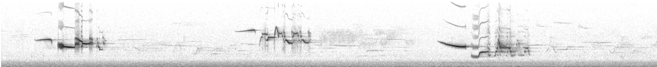 Дрізд-короткодзьоб плямистоволий - ML637996495