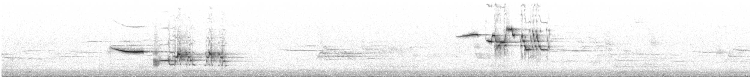 Дрізд-короткодзьоб плямистоволий - ML637996513