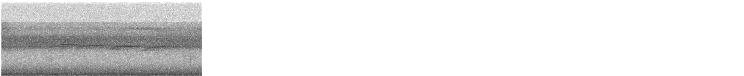 South American Leaftosser - ML637996902