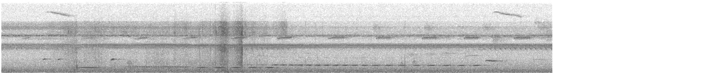 Rufous-and-white Wren - ML637997584