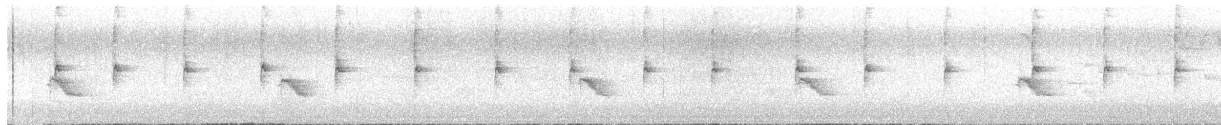 Bicknell's Thrush - ML637998167