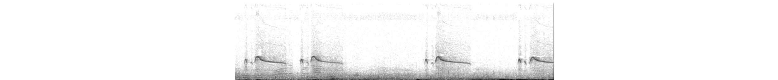 Say's Phoebe - ML637998171