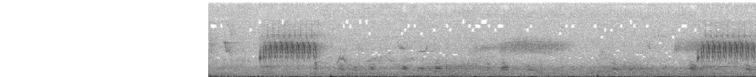 Spotted Towhee - ML637998558