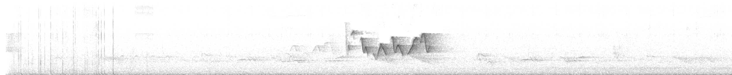 Magnolia Warbler - ML637999967