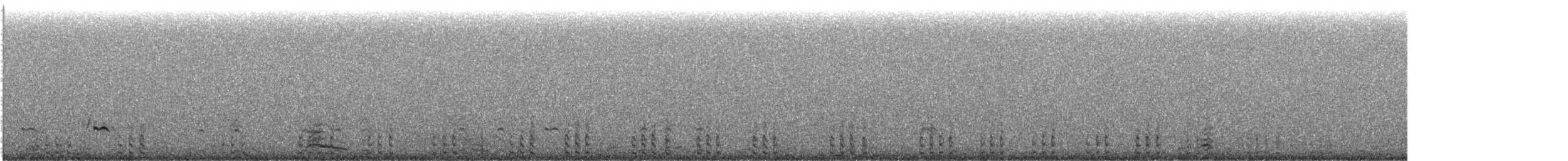 Least Seedsnipe - ML638000019
