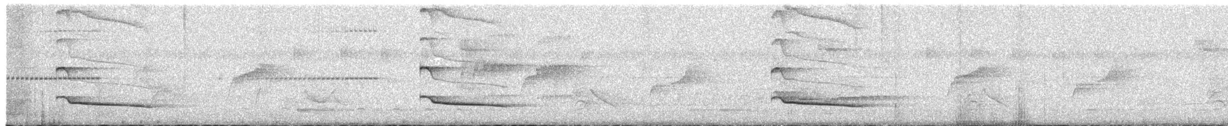 Rufous-tailed Attila - ML638000335