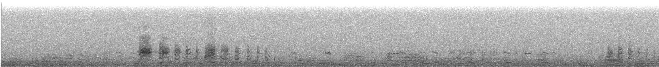 Yellow-billed Teal (flavirostris) - ML638003249