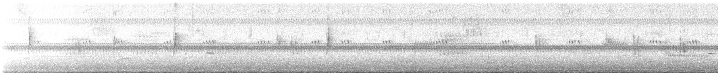 Empidonax sp. - ML638004333