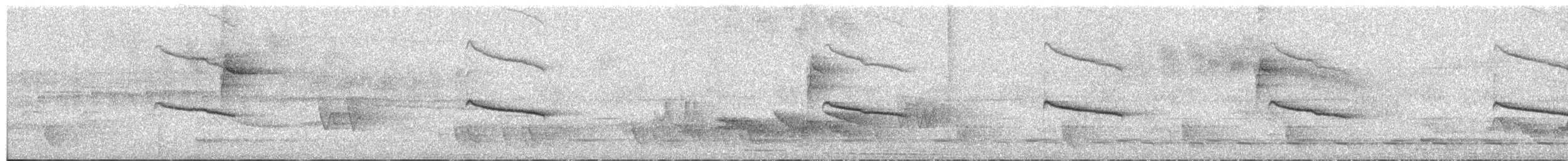 ムジヒメアリサザイ - ML638004668