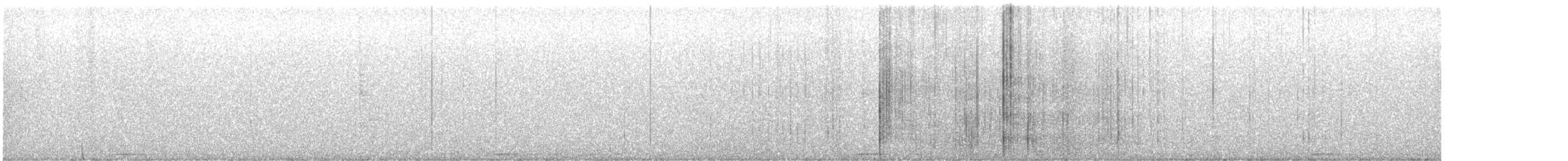 アメリカコノハズク - ML638007184