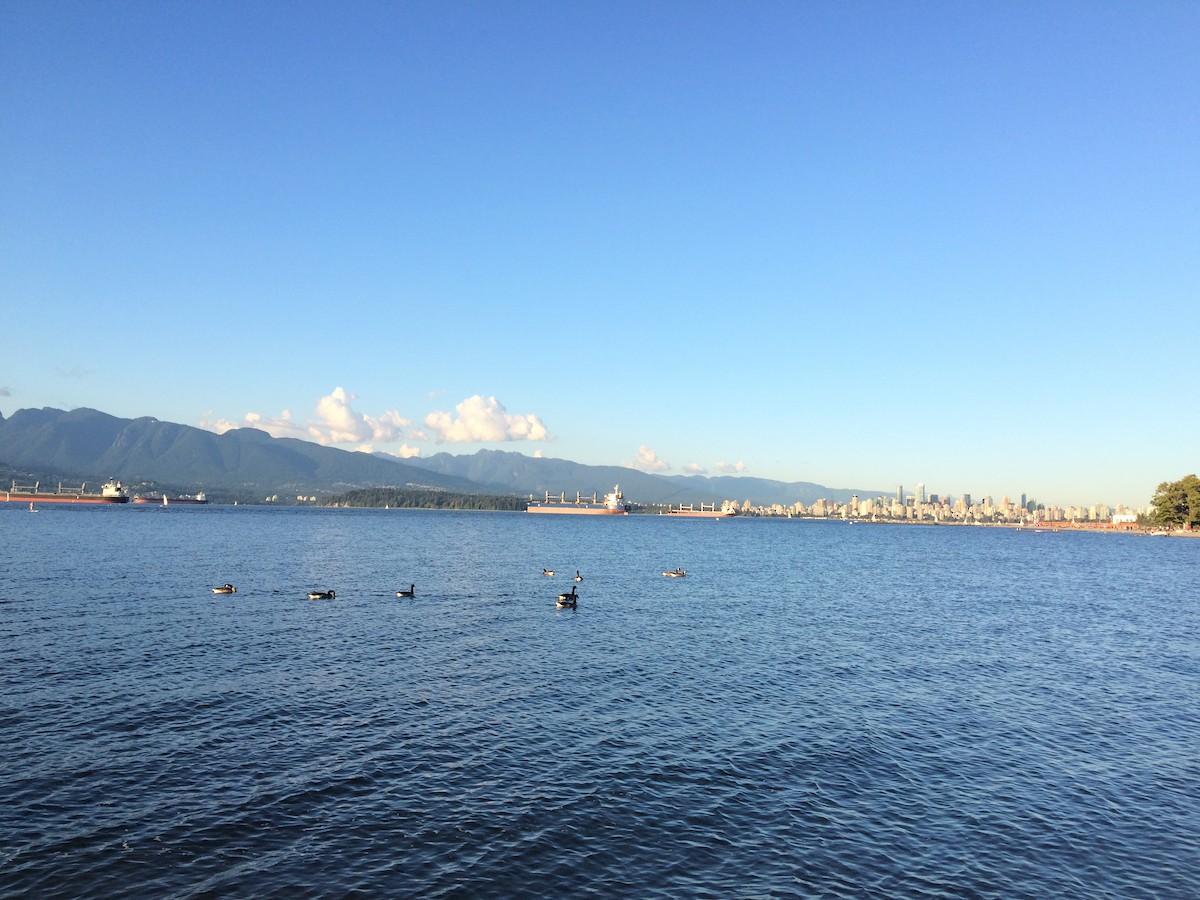 Barnacla Canadiense Grande - ML638008487