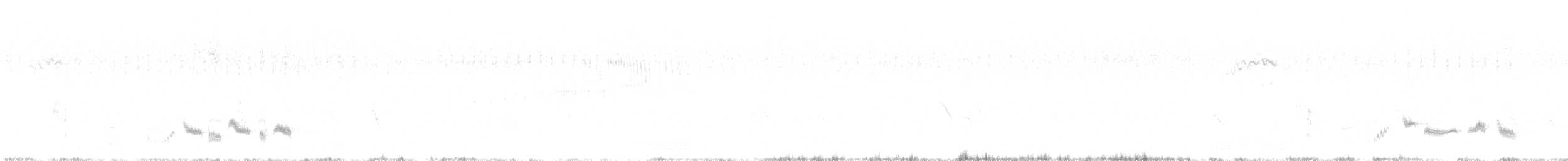 Western Orphean Warbler - ML638011257