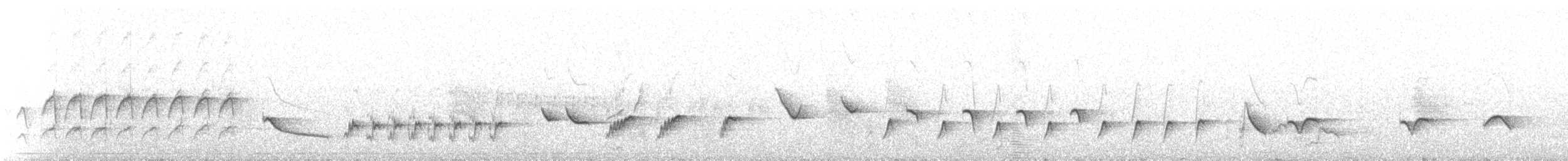 ヒガシハジロヤブコマドリ（quadrivirgata） - ML638011272