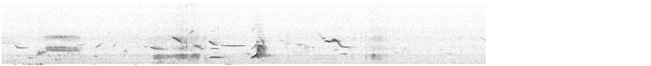 Northern Bobwhite - ML638011789
