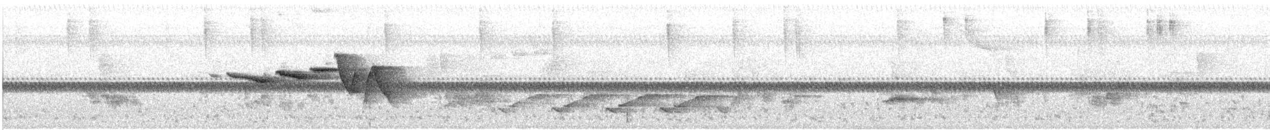 Swainson's Warbler - ML638011838