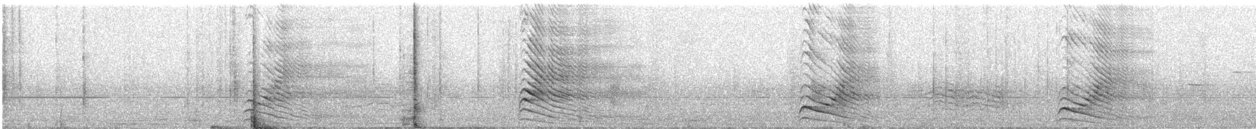 Gray Go-away-bird - ML638011913