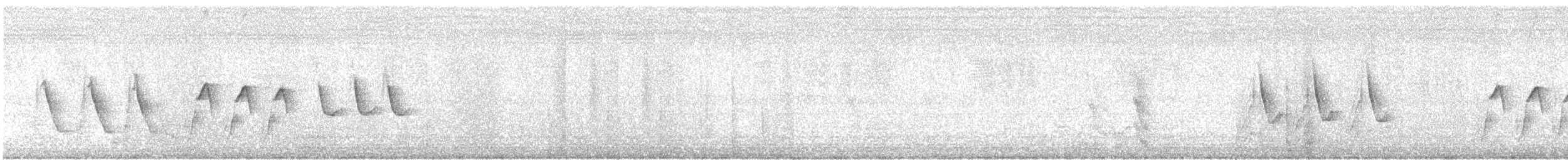 African Pied Wagtail - ML638013979