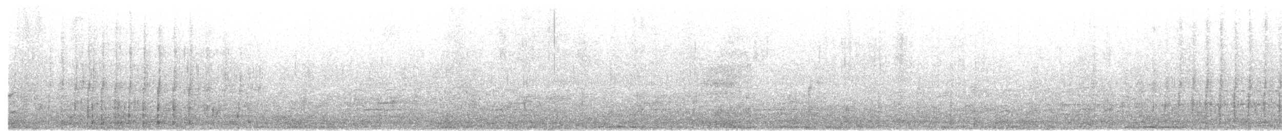 Freckled Duck - ML638013999