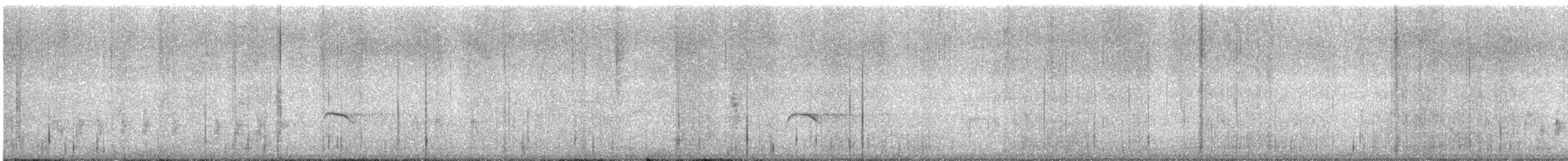 Pied Bushchat - ML638014324