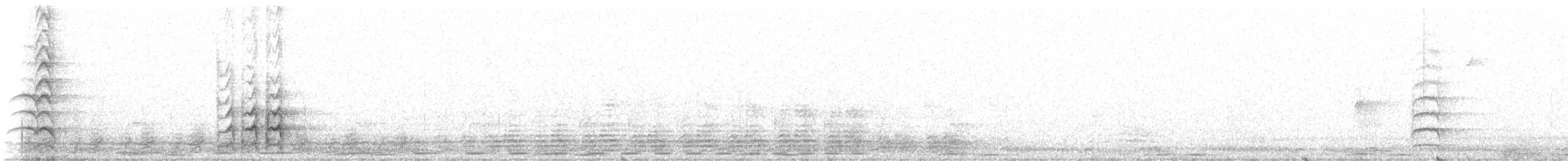 White-crowned Shrike - ML638014391