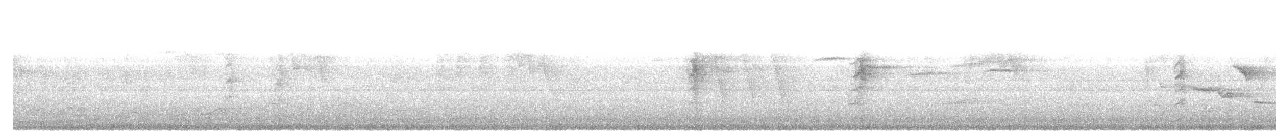White-throated Fantail - ML638014835