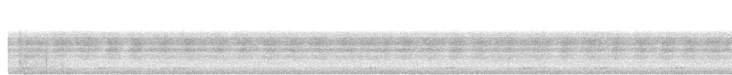 Black-browed Barbet - ML638014845