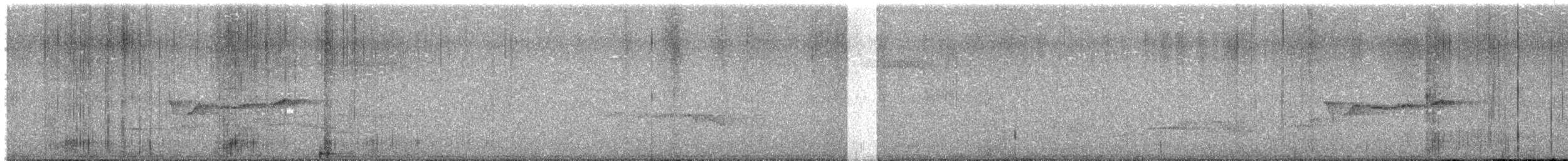 方尾鶲 - ML638015741