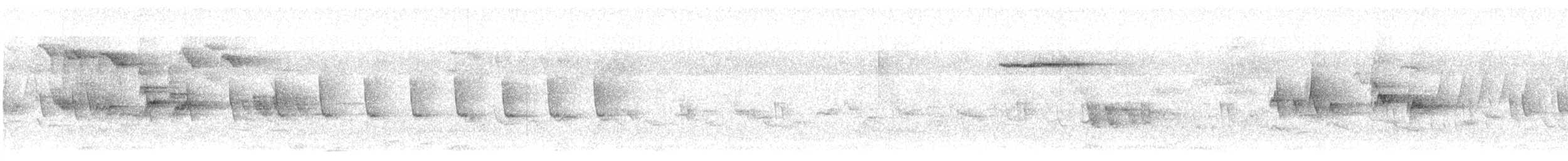Iberian Chiffchaff - ML638015827