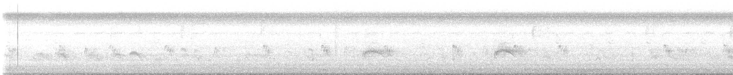 Couch's Kingbird - ML638015872