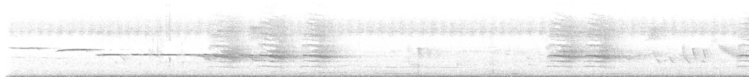 White-throated Sparrow - ML638016013