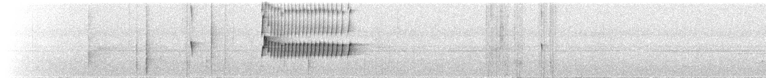 Southern Bristle-Tyrant - ML638016487