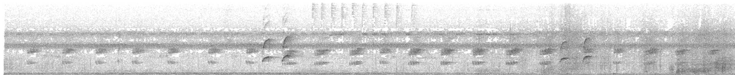 Stripe-necked Tody-Tyrant - ML638018337