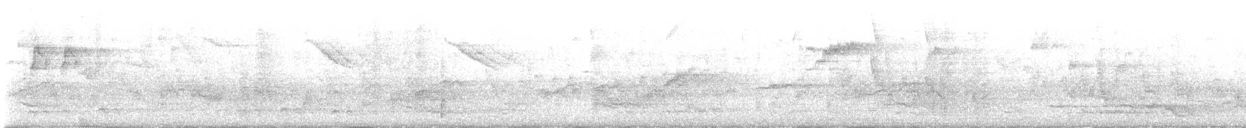 Star - ML638018804
