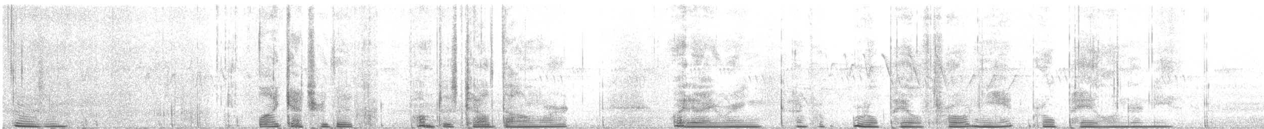 Empidonax sp. - ML638019622