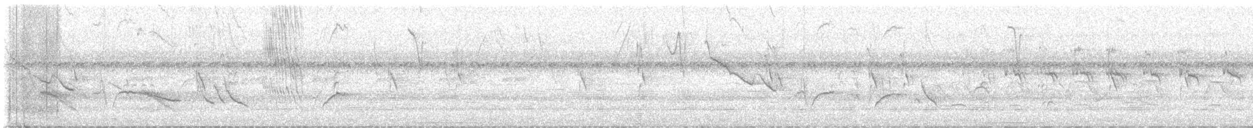 svartnebbtrost - ML638021345