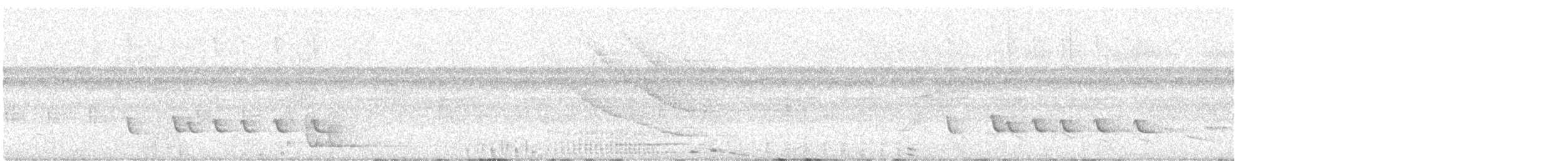 White-winged Becard - ML638021981