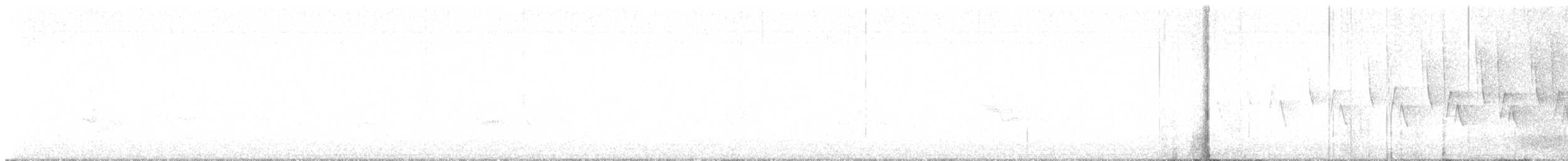 Worm-eating Warbler - ML638023202