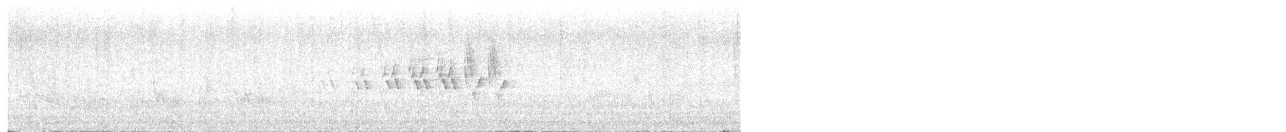 MacGillivray's Warbler - ML638023279