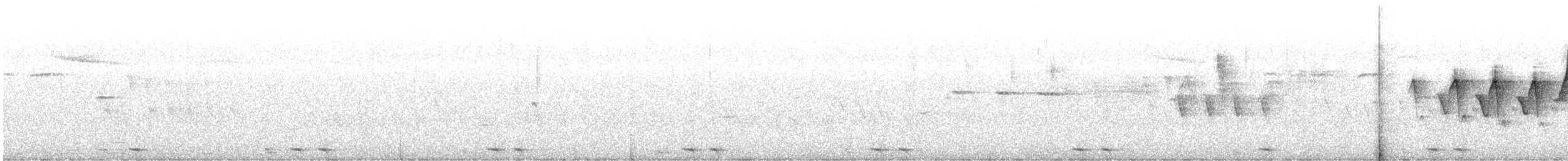 Black-billed Cuckoo - ML638023893