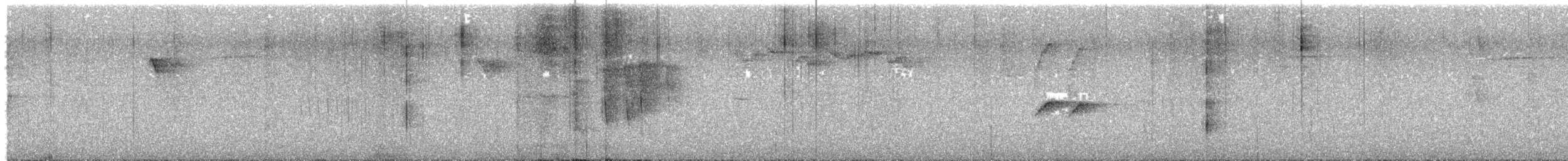 方尾鶲 - ML638024508