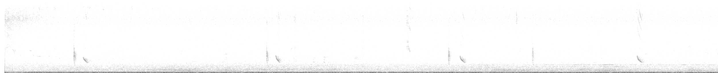 Mountain Bluebird - ML638024752