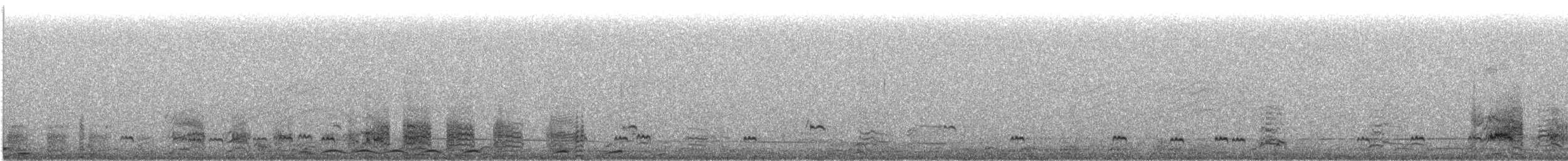 Yellow-billed Pintail (South American) - ML638025369