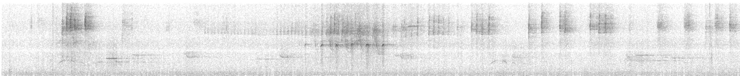 Junco ardoisé - ML638025898