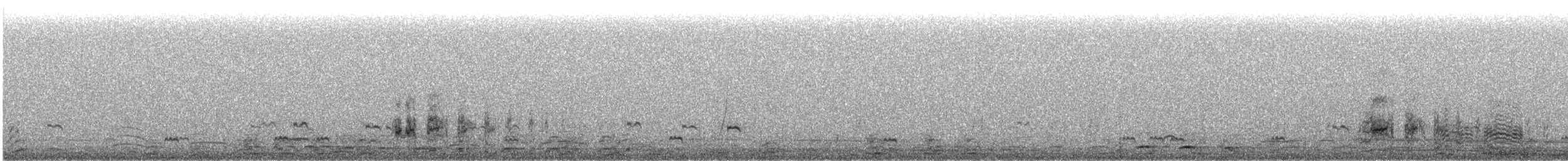 Yellow-billed Teal (flavirostris) - ML638025924