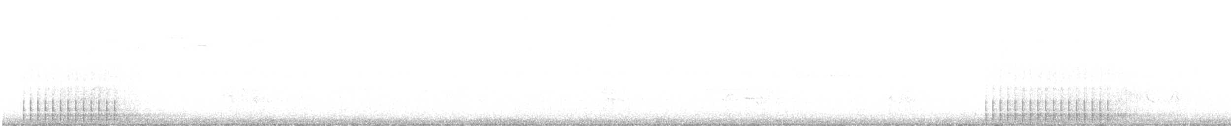 datlovití sp. - ML638029177