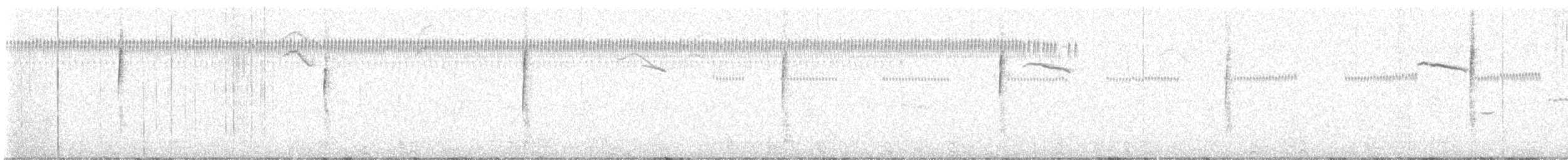 ムナジロオナガカマドドリ - ML638031863