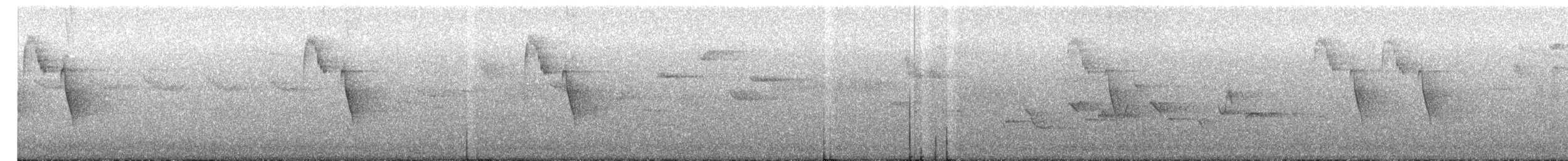 Kaskabeltz txikia - ML638032679